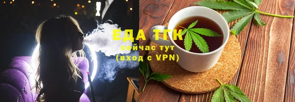 индика Ельня